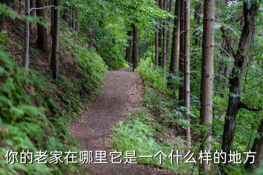 南陽(yáng)晨楓老家是哪里的,南陽(yáng)張姓祖上是哪里的