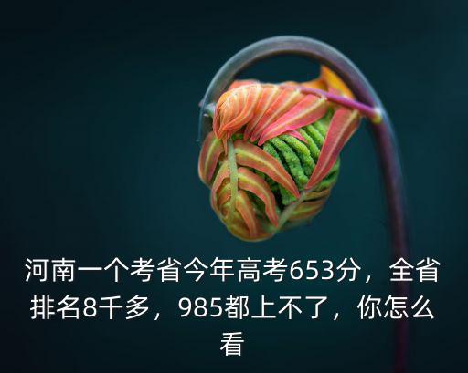 河南省高考成績?nèi)∨琶趺床?全省排名8千多