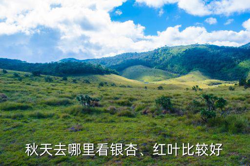 秋天去哪里看銀杏、紅葉比較好