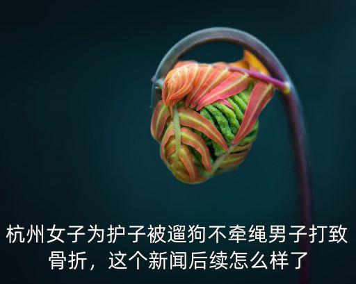 河南臨湘女子被打后續怎么樣了,這個新聞后續怎么樣了