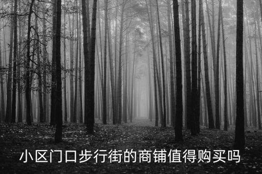 新鄉(xiāng)小區(qū)門(mén)口買(mǎi)個(gè)商鋪怎么樣,商鋪所在小區(qū)是新小區(qū)