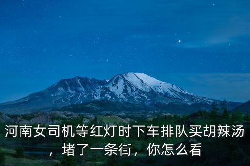 河南女司機等紅燈時下車排隊買胡辣湯，堵了一條街，你怎么看