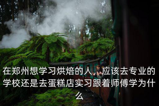 在鄭州想學習烘焙的人，應該去專業的學校還是去蛋糕店實習跟著師傅學為什么