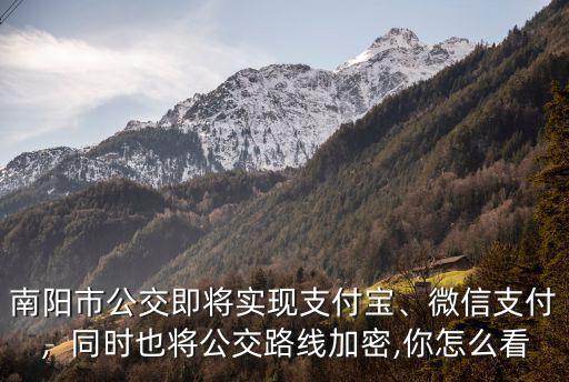 南陽公交手機支付怎么使用,坐公交車怎么用手機支付