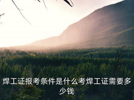焦作焊工證快速考證多少錢(qián),考焊工證需要多少錢(qián)