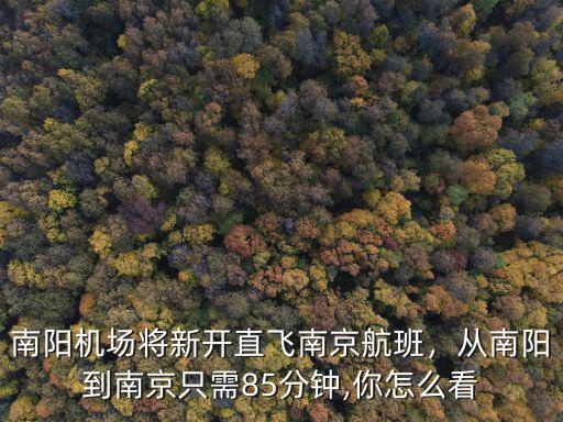 南陽到南京怎么成本低,從南陽到南京只需85分鐘