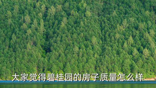 大家覺得碧桂園的房子質(zhì)量怎么樣