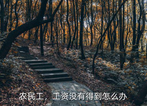 農(nóng)民工，工資沒有得到怎么辦