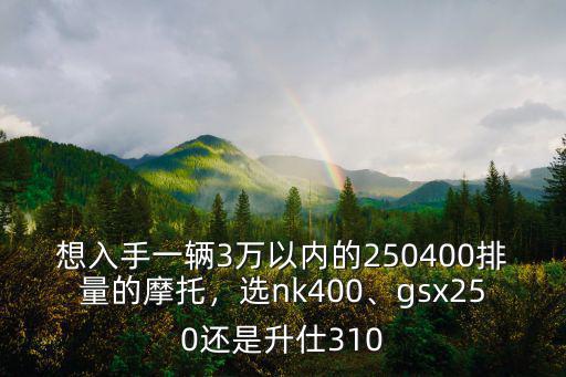 升仕310平頂山哪里有賣的,gsx250還是升仕310