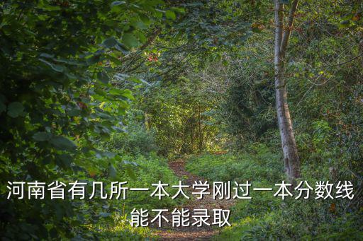 河南省考上一本的學生有多少,河南省有幾所一本大學