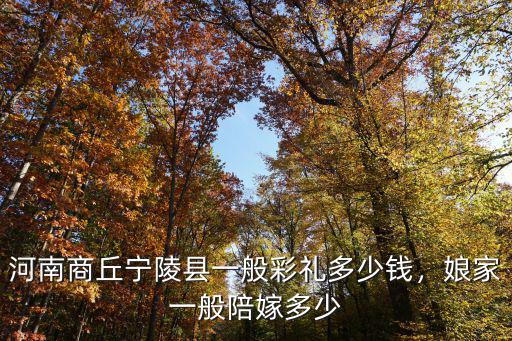 河南商丘寧陵縣一般彩禮多少錢，娘家一般陪嫁多少