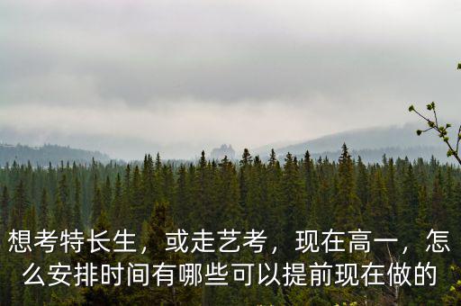 商丘高中特長生怎么考,怎么考高中書法特長生