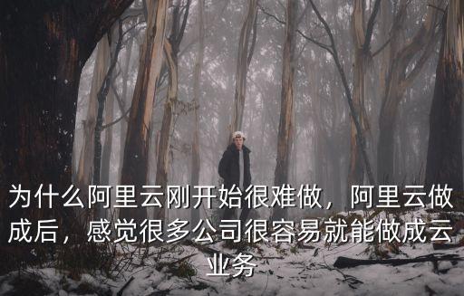 阿里云洛陽公司怎么樣,阿里云做成后