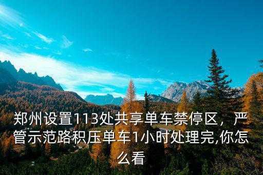 鄭州設置113處共享單車禁停區，嚴管示范路積壓單車1小時處理完,你怎么看
