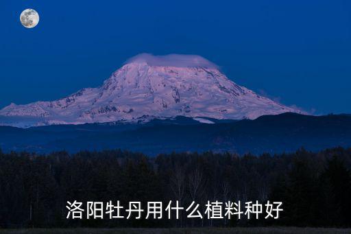 洛陽牡丹用什么植料種好