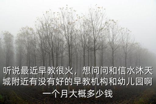 聽說最近早教很火，想問問和信水沐天城附近有沒有好的早教機構和幼兒園啊一個月大概多少錢