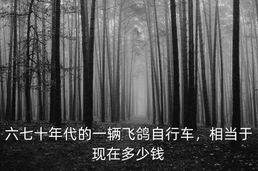 六七十年代的一輛飛鴿自行車，相當于現在多少錢