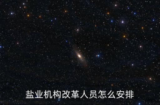 河南鹽改后鹽業公司怎么改革,鹽業公司如何改革