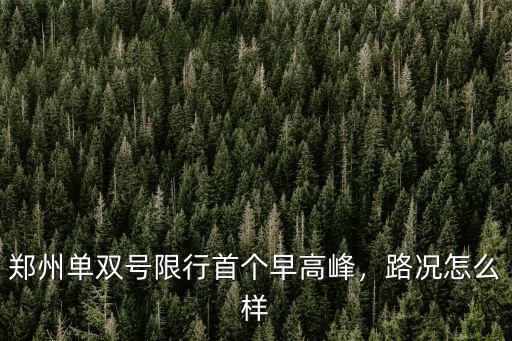 鄭州單雙號限行首個早高峰，路況怎么樣
