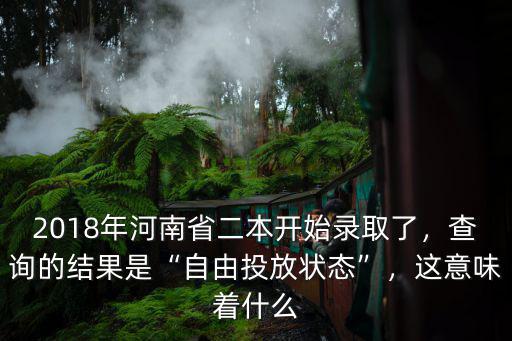 河南二批怎么查錄取結果,河南本科二批