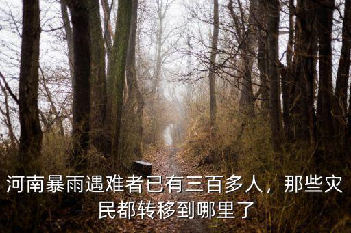 河南暴雨遇難者已有三百多人，那些災民都轉移到哪里了