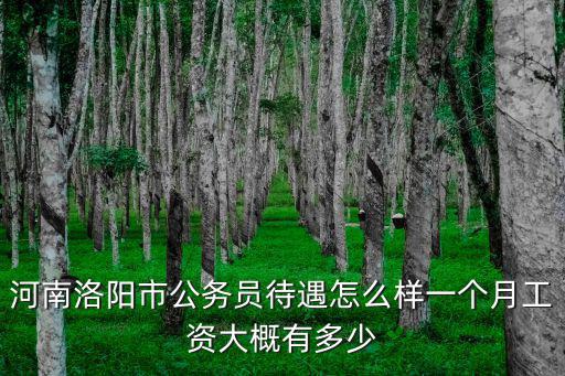 洛陽市公務(wù)員副科級(jí)工資是多少,副科級(jí)公務(wù)員基本工資多少