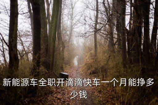 新能源車全職開滴滴快車一個月能掙多少錢