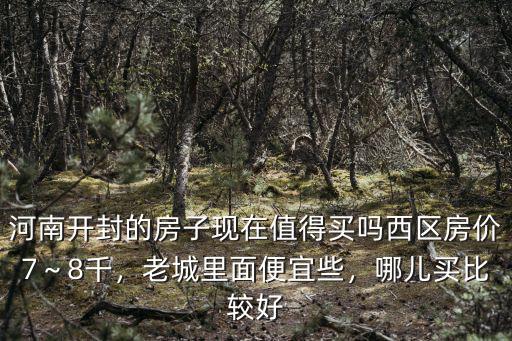 河南開封的房子現在值得買嗎西區房價7～8千，老城里面便宜些，哪兒買比較好