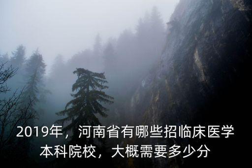 2019年，河南省有哪些招臨床醫(yī)學(xué)本科院校，大概需要多少分