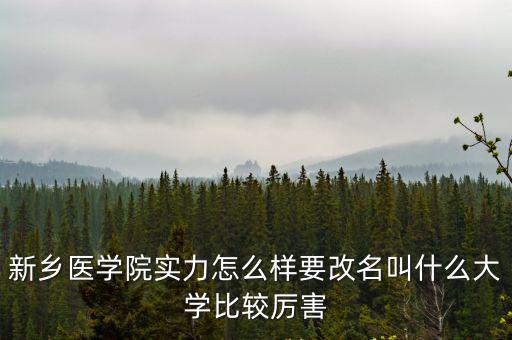 新鄉醫學院實力怎么樣要改名叫什么大學比較厲害