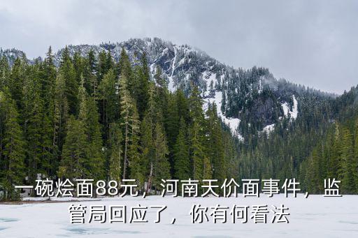 一碗燴面88元，河南天價面事件，監(jiān)管局回應(yīng)了，你有何看法