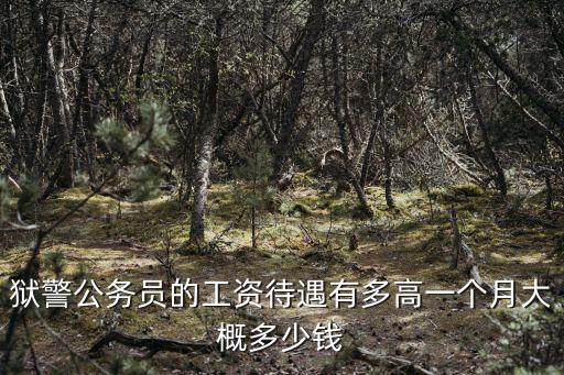 獄警公務(wù)員的工資待遇有多高一個(gè)月大概多少錢