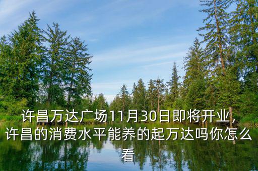 許昌萬達廣場11月30日即將開業，許昌的消費水平能養的起萬達嗎你怎么看