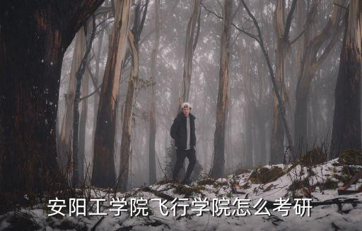 安陽工學院飛行學院怎么考研