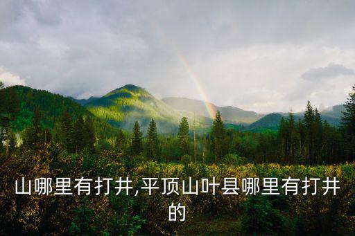 平頂山哪里有打井,平頂山葉縣哪里有打井的