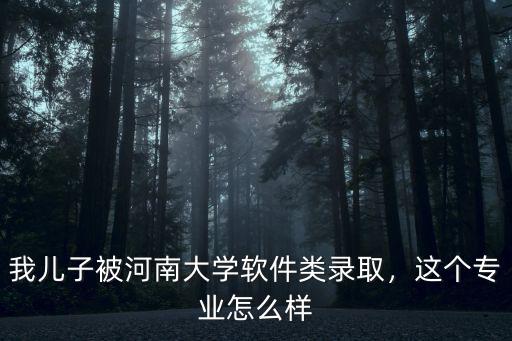 我兒子被河南大學(xué)軟件類錄取，這個(gè)專業(yè)怎么樣