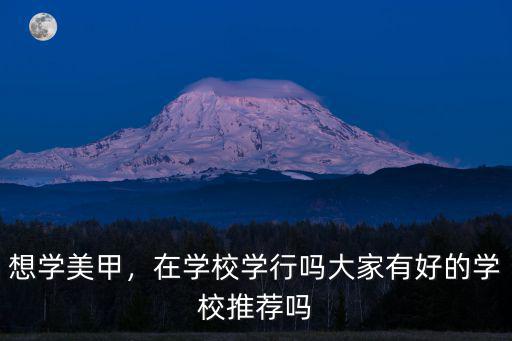 想學(xué)美甲，在學(xué)校學(xué)行嗎大家有好的學(xué)校推薦嗎
