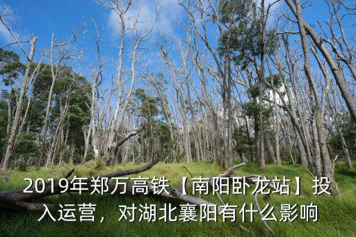 2019年鄭萬高鐵【南陽臥龍站】投入運營，對湖北襄陽有什么影響