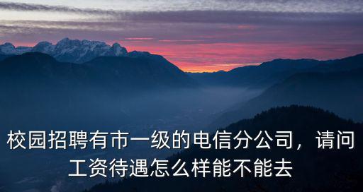 校園招聘有市一級(jí)的電信分公司，請(qǐng)問(wèn)工資待遇怎么樣能不能去