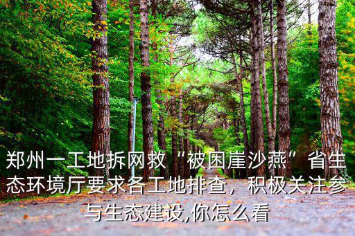 鄭州一工地拆網救“被困崖沙燕”省生態環境廳要求各工地排查，積極關注參與生態建設,你怎么看