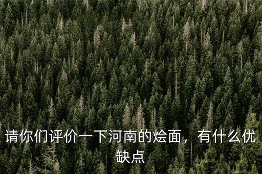 請(qǐng)你們?cè)u(píng)價(jià)一下河南的燴面，有什么優(yōu)缺點(diǎn)