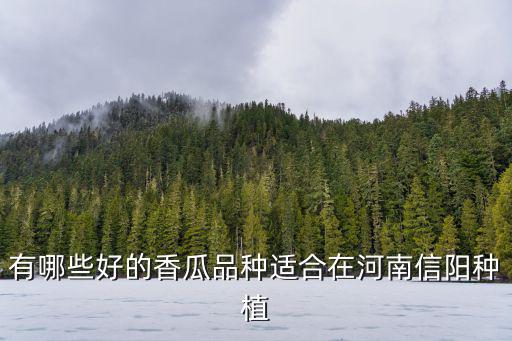 有哪些好的香瓜品種適合在河南信陽(yáng)種植