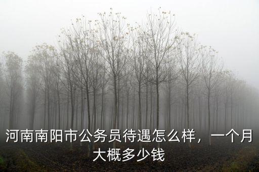 南陽市社保每月多少錢,一個月大概多少錢