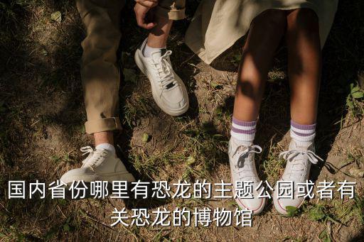 國(guó)內(nèi)省份哪里有恐龍的主題公園或者有關(guān)恐龍的博物館