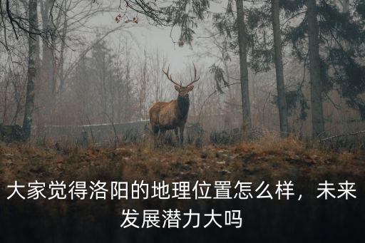 大家覺得洛陽的地理位置怎么樣，未來發展潛力大嗎