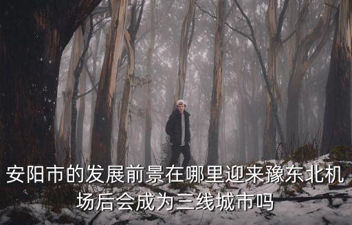 安陽市三皇廟在哪里,安陽市的發(fā)展前景在哪里