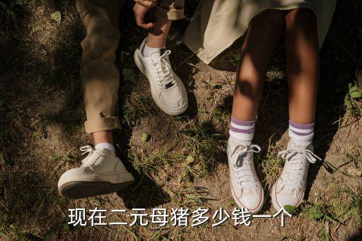 現(xiàn)在二元母豬多少錢(qián)一個(gè)