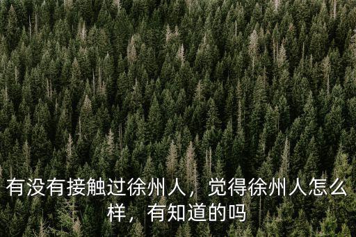 有沒有接觸過徐州人，覺得徐州人怎么樣，有知道的嗎