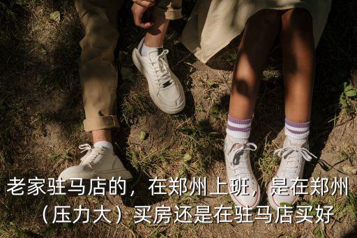 老家駐馬店的，在鄭州上班，是在鄭州（壓力大）買房還是在駐馬店買好