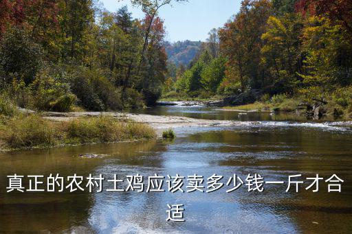 鄭州市柴雞多少錢一斤,現在土雞價格多少錢一斤